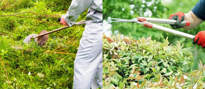 ビジネスコンビニ ビジらく